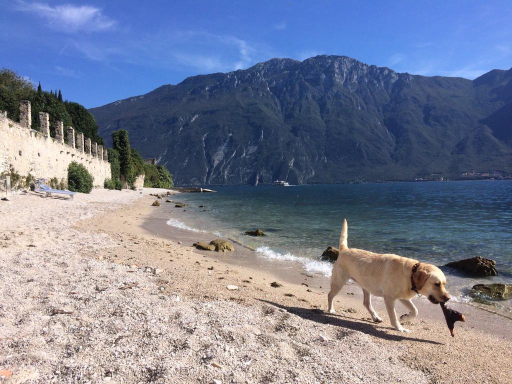 B&B Casa Limone Лимоне-суль-Гарда Экстерьер фото
